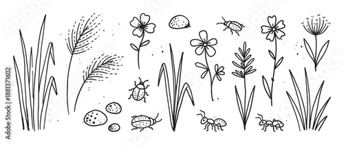 Hand drawn black and white doodle set of nature elements with flowers, grass, insects, and stones in a minimalist sketch style for botanical and summer themed designs