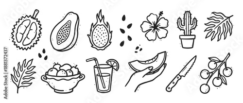 Collection of hand-drawn tropical icons featuring exotic fruits like durian, papaya, and dragon fruit, along with a hibiscus flower, cactus, and a refreshing summer drink
