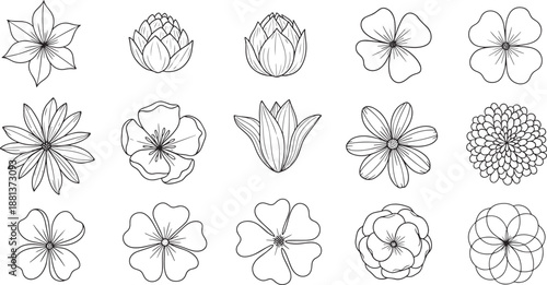 Set of stylized outline flower icons for botany or garden design