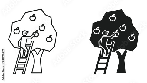 Person picking apples from tree with ladder