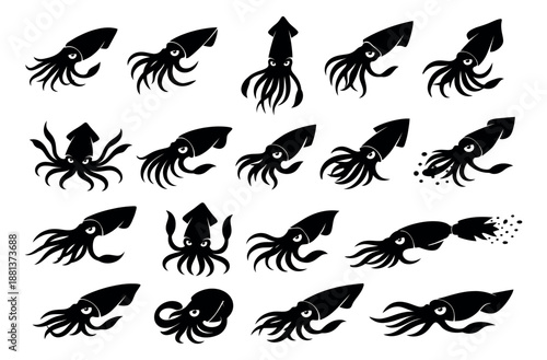 Graphic squid set featuring various marine animal poses for ocean-themed design © cac_tus