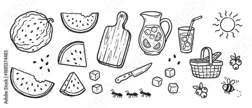 Hand-drawn summer picnic illustration set featuring watermelon, lemonade, a basket, sun, and insects in a charming black and white doodle sketch style for outdoor concepts
