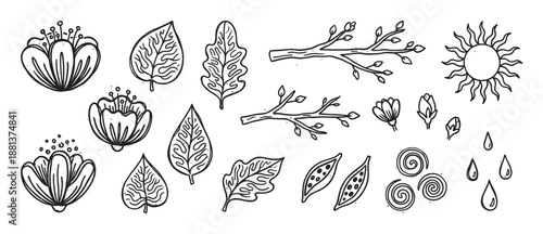 Hand-drawn collection of black and white nature elements featuring flowers, leaves, branches, a sun, and raindrops in a charming, rustic doodle sketch illustration style