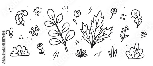 Hand-drawn botanical illustration set with various plants, leaves, flowers, and berries in a minimalist black ink sketch style with organic, rustic details
