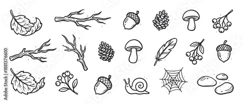 Collection of hand-drawn forest elements in a black and white doodle style, including leaves, branches, acorns, mushrooms, and a snail for an autumnal nature theme