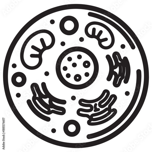 Outline of a Cell Diagram with Organelles on White Background