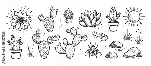 Hand drawn black and white desert elements collection featuring various cacti, a succulent, lizard, insect, rocks, and a sun in a rustic sketch doodle style for nature themes