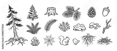 Collection of hand-drawn forest elements featuring a pine tree, squirrel, mushroom, fern, acorn, and other woodland flora and fauna in a rustic monochrome sketch style