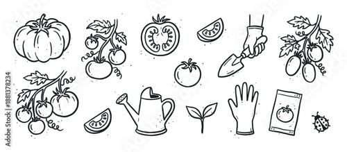 Hand drawn gardening doodle collection featuring tomatoes on the vine, sliced vegetables, a watering can, trowel, and seed packet in a simple black and white line art style
