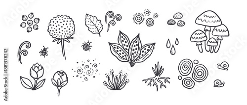 Collection of hand-drawn nature doodles featuring whimsical illustrations of mushrooms, snails, flowers, berries, and insects in a simple black and white line art style