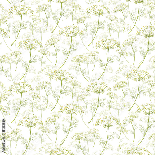 Dill seamless pattern on a white background, watercolor illustration. Summer garden ornament of aromatic herbs. Fennel greenery for kitchen textiles, packaging, and backgrounds