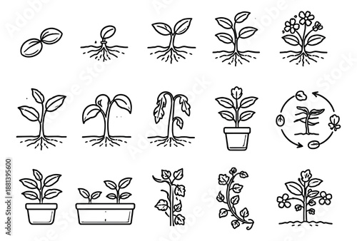 Hand drawn line art plant growth set featuring stages from seed to flower for botany and education