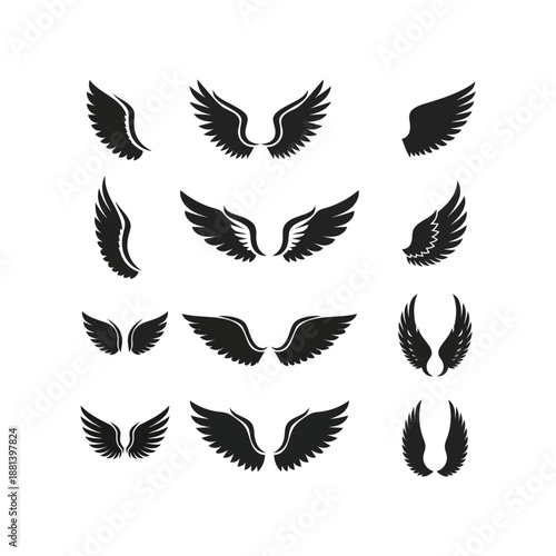 Collection of various black wing silhouettes on a white background featuring different shapes and styles silhouette