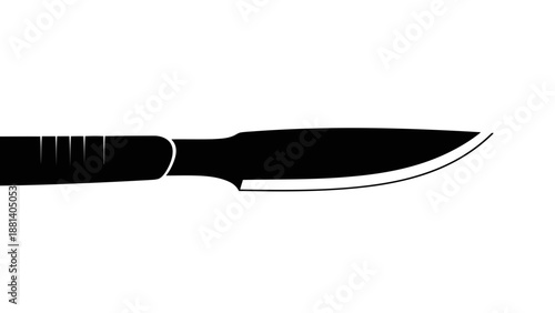 Sharp kitchen knife silhouette on white background