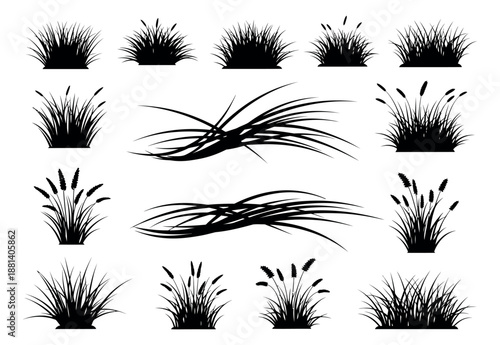 Graphic grass elements set featuring various types of foliage and seed heads for natural landscape design