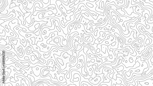 Topographic map pattern with black lines on white background