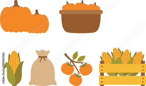 Autumn harvest vegetables vector set with pumpkins corn oranges and farm produce illustrations isolated