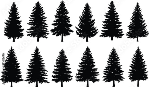 Evergreen pine tree silhouette illustration set, conifer forest collection, winter woodland nature elements, black vector trees isolated on white background