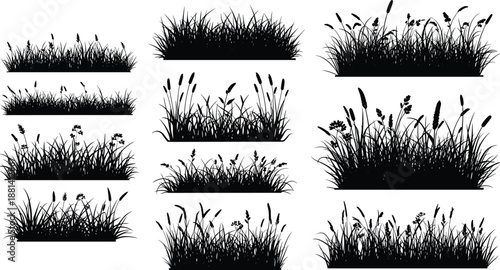 Grass silhouette illustration set with wild meadow plants and reeds, natural foliage ground elements, botanical landscape collection, black vector designs isolated on white background