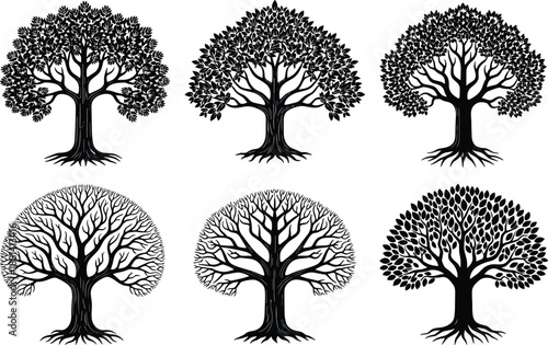 Oak tree silhouette illustration set, detailed leafy canopy and roots, botanical forest nature collection, black vector artwork isolated on white background