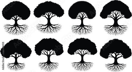 Tree silhouette illustration set with visible roots and rounded canopy, botanical forest nature collection, black vector trees isolated on white background