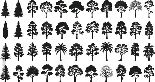 Tree silhouette mega collection illustration, mixed forest tropical and deciduous trees, botanical nature set, black vector icons isolated on white background