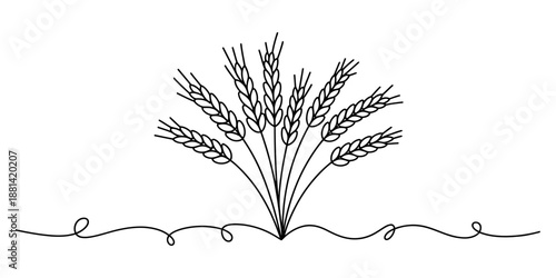A stylized black and white illustration depicting a fan of wheat ears, suitable for various design applications Vector, illustration