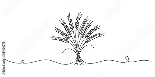Minimalist continuous line drawing depicting a harvest sheaf of wheat Vector, illustration