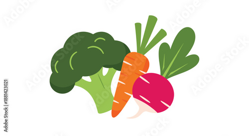 Group of fresh vegetables including a green broccoli head, an orange carrot, and a bright red radish on a white background.