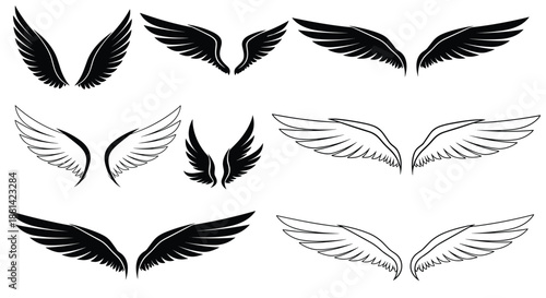 Various styles of black and white wing silhouettes, including feathered angel and bird wings, isolated for graphic design use.