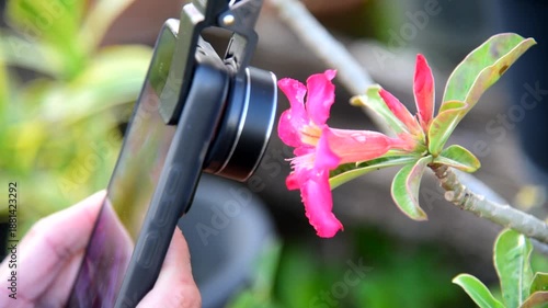 Use Closeup  external lense set with smartphone to take the photo 