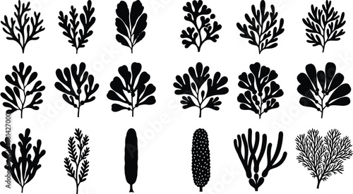 Abstract seaweed silhouettes collection, black and white marine algae shapes, minimalist botanical vector illustration set, organic ocean plant elements, coastal design graphics