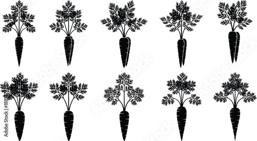 Carrot silhouettes collection, black and white vegetable illustrations, minimalist botanical vector set, organic farm produce icons, healthy food design, nature style elements