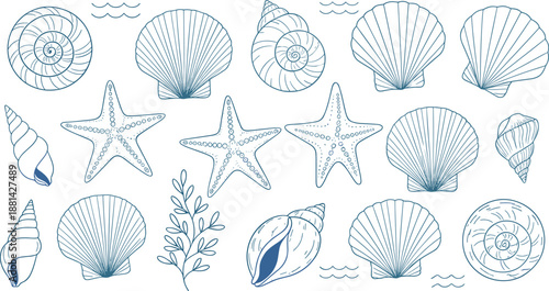 Hand drawn seashell vector collection with starfish, scallop shells, ocean snails, aquatic plants, and marine life for coastal decor.