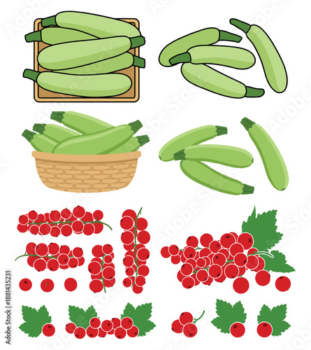 Fresh zucchini and red currants in various arrangements, healthy organic vegetables and berries