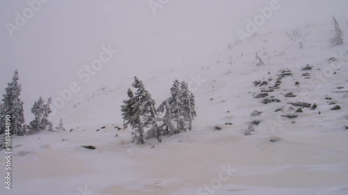 Footage capturing a serene, snow-covered mountain landscape in the Southern Urals region of Russia during winter. The scene features snow-laden pine trees and a vast expanse of white, under an overcas