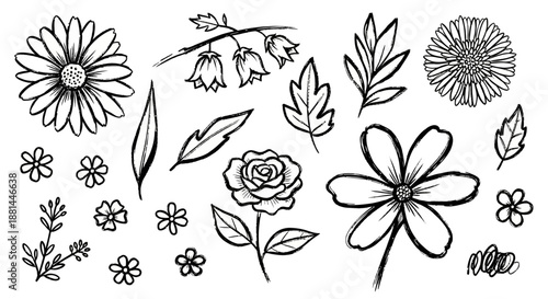 Elegant Hand-Drawn Floral Elements Collection Intricate Botanical Sketches of Various Flowers and Leaves, Perfect for Creative Design Projects and Nature-Inspired Graphics