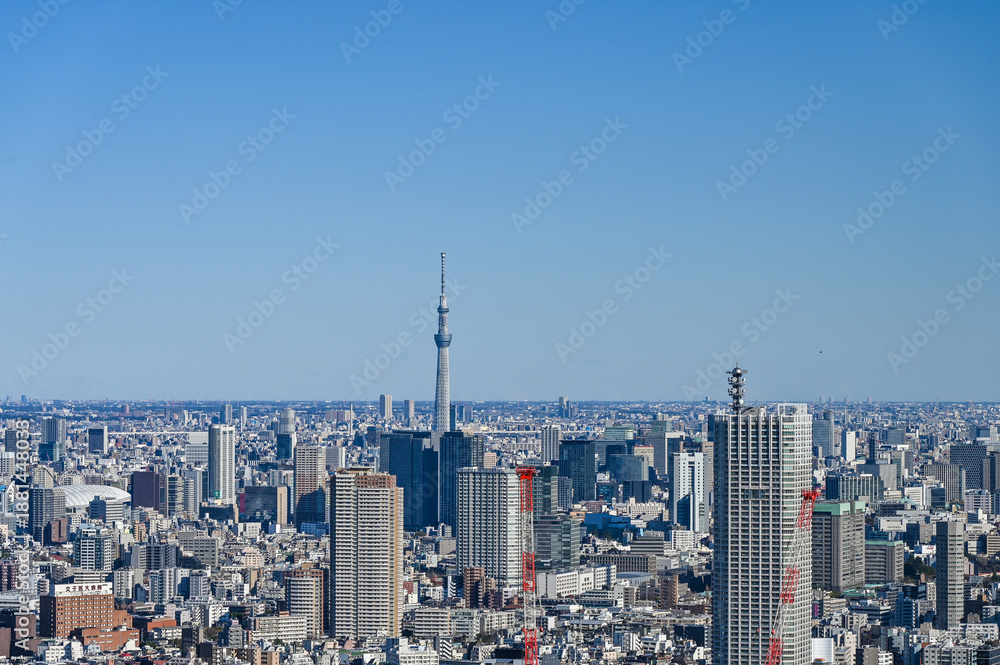 Obraz premium 日本東京の都市風景