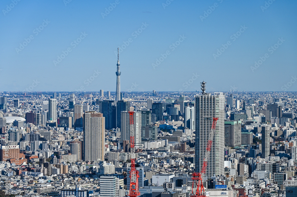 Naklejka premium 日本東京の都市風景