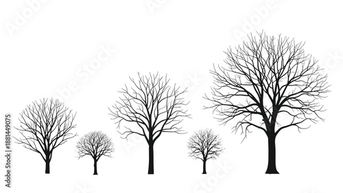 Group of several bare tree silhouettes in varying sizes without leaves depicted on a clean white background for winter concepts.
