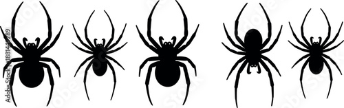 Spider silhouette collection in black and white, arachnid icon set, spooky insect illustration for halloween design, tattoo, branding