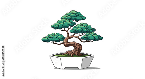 Carefully pruned green bonsai tree with a thick gnarled trunk growing in a white hexagonal ceramic pot on a white background.