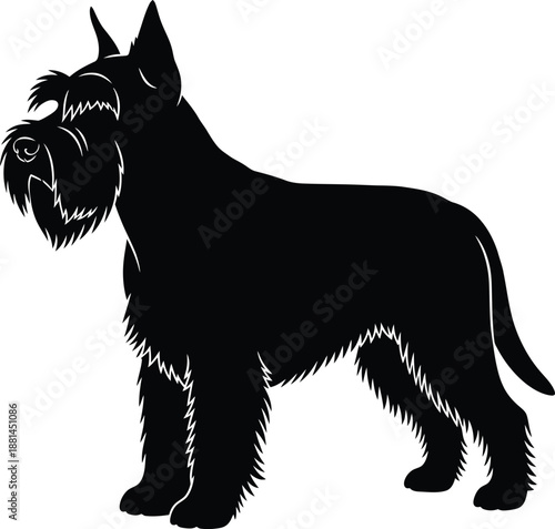 Schnauzer Dog Standing Silhouette Vector