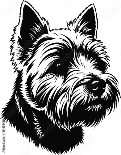 Schnauzer Dog Head Portrait Vector Illustration