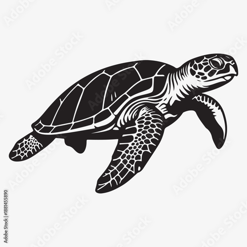 Turtle silhouette