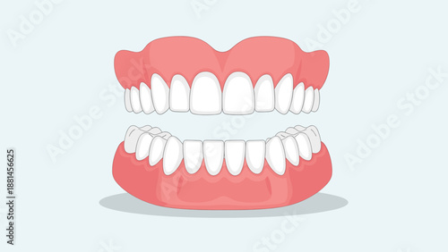 Realistic full set of upper and lower dentures, showcasing prosthetic teeth for dental care and oral health solutions.