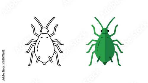 Vector illustration set featuring a line art icon and a flat design graphic of a small agricultural aphid pest isolated