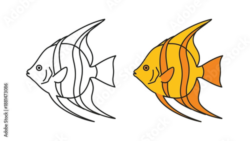 Simple vector illustration showing a black and white outline drawing of an angelfish next to a fully colored yellow and orange tropical fish.
