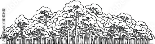 Dense forest landscape with tall trees and lush foliage in black and white