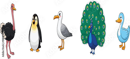 Vibrant Vector Illustration Set of Colorful Birds Featuring Peacock Ostrich Penguin Seagull and Blue Duck for Nature Designs.